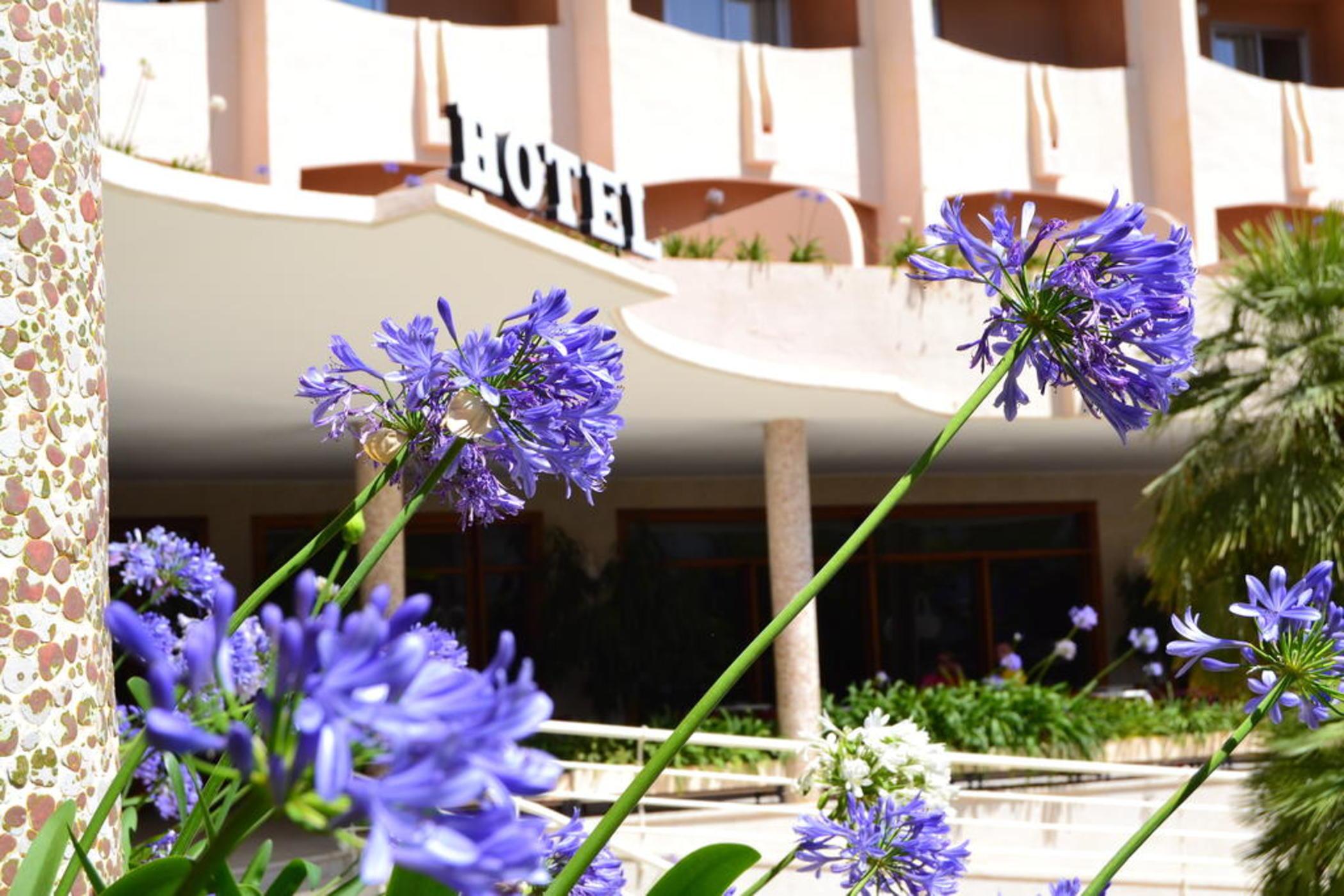 Hotel Los Robles Gandía Dış mekan fotoğraf